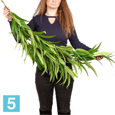 Лиана Манго искусственная Alseed, l-100 см.