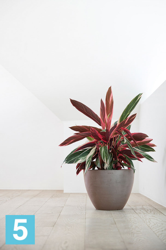 Напольное кашпо Ecopots Antwerp, серо-коричневое 40-d, 30-h