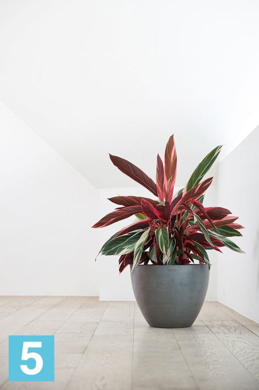 Напольное кашпо Ecopots Antwerp, серое 50-d, 40-h
