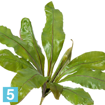 Асплениум натуральный искусственный 70d TREEZ Collection в #REGION_NAME_DECLINE_PP#