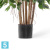 Фикус искусственный TREEZ Collection Бенджамина карликовый многоствольный 100h Фикус искусственный TREEZ Collection Бенджамина карликовый многоствольный 100h