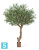Олива искусственная TREEZ Collection Олден на толстом стволе 270h Олива искусственная TREEZ Collection Олден на толстом стволе 270h