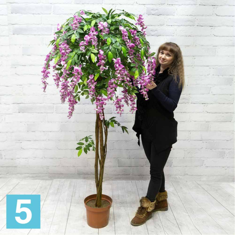 Глициния искусственная Alseed, вистерия, малиновая, h-180  см.