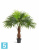 Пальма Вашингтония искусственная TREEZ Collection 120h