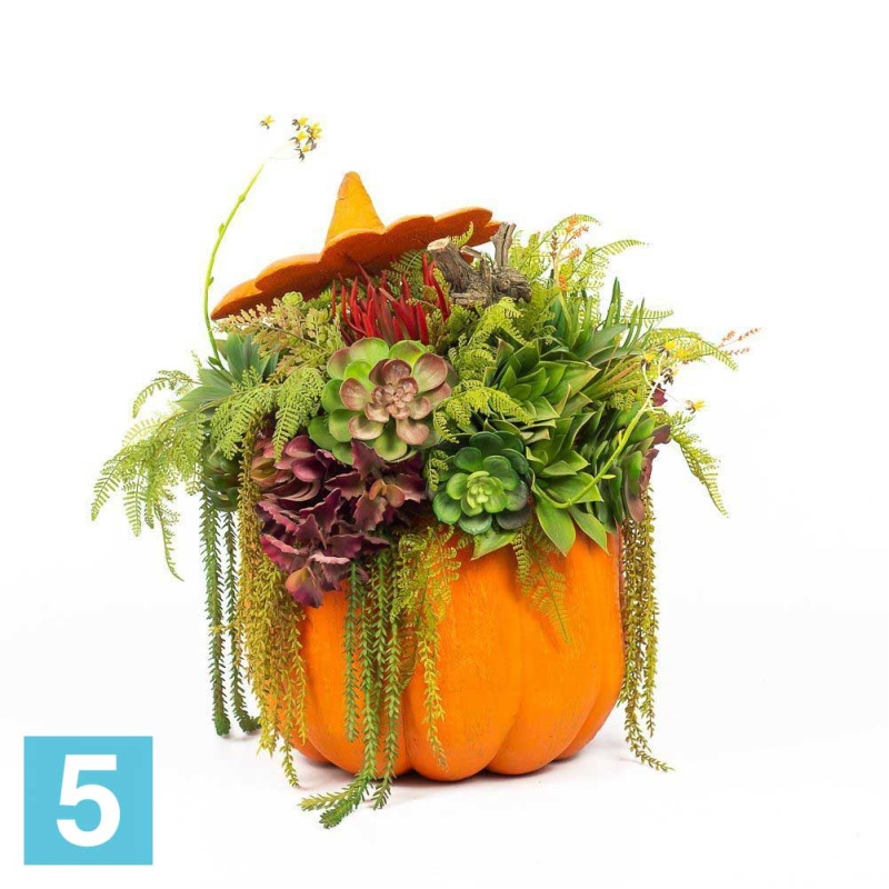 Тыква большая с суккулентами искусственная Alseed, d-35, т, ,50