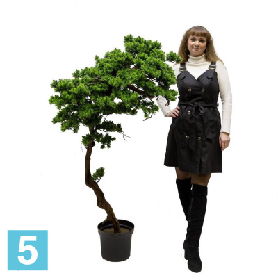 Бонсай Сосна искусственный Alseed, h-150 см. в кашпо, d-26 см. в #REGION_NAME_DECLINE_PP#