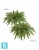 Искусственный Папоротник Бостон Новый натуральный зеленый TREEZ Collection 80-d, 30-h