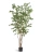 Олива искусственная лесная чёрная Ориентал TREEZ Collection 210h Олива искусственная лесная чёрная Ориентал TREEZ Collection 210h