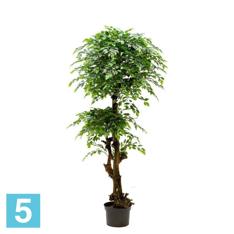 Фикус мелколистный искусственный Alseed, h-210 см., латекс