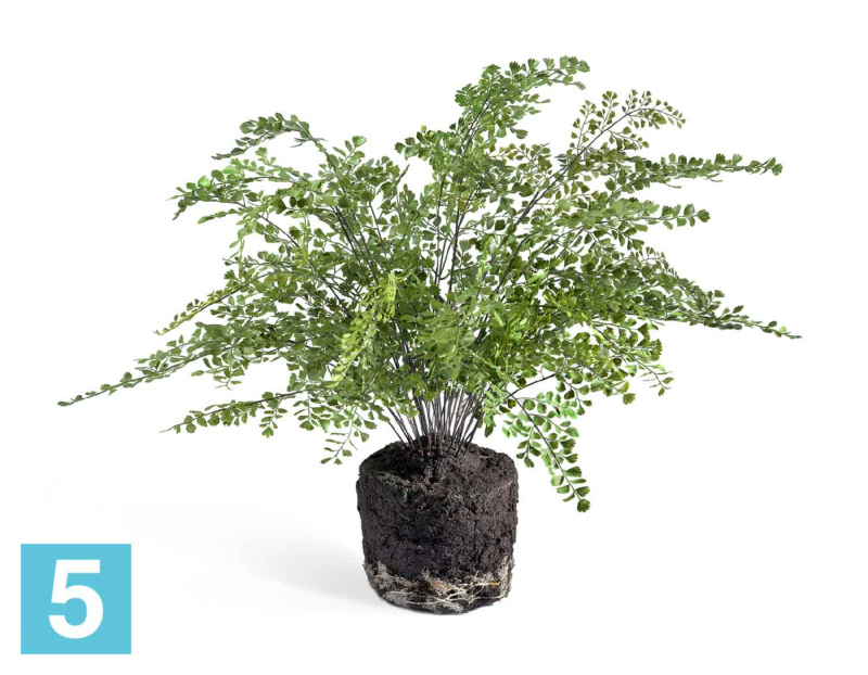 Папоротник Адиантум искусственный куст в земле с корнями TREEZ Collection 75-d, 65-h