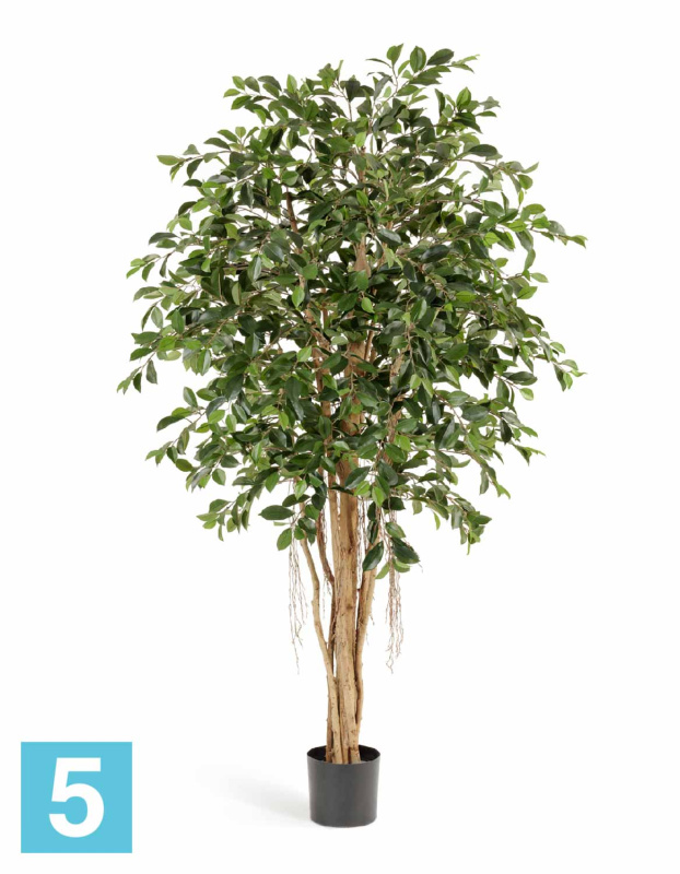Фикус Ретуса искусственный TREEZ Collection 180h