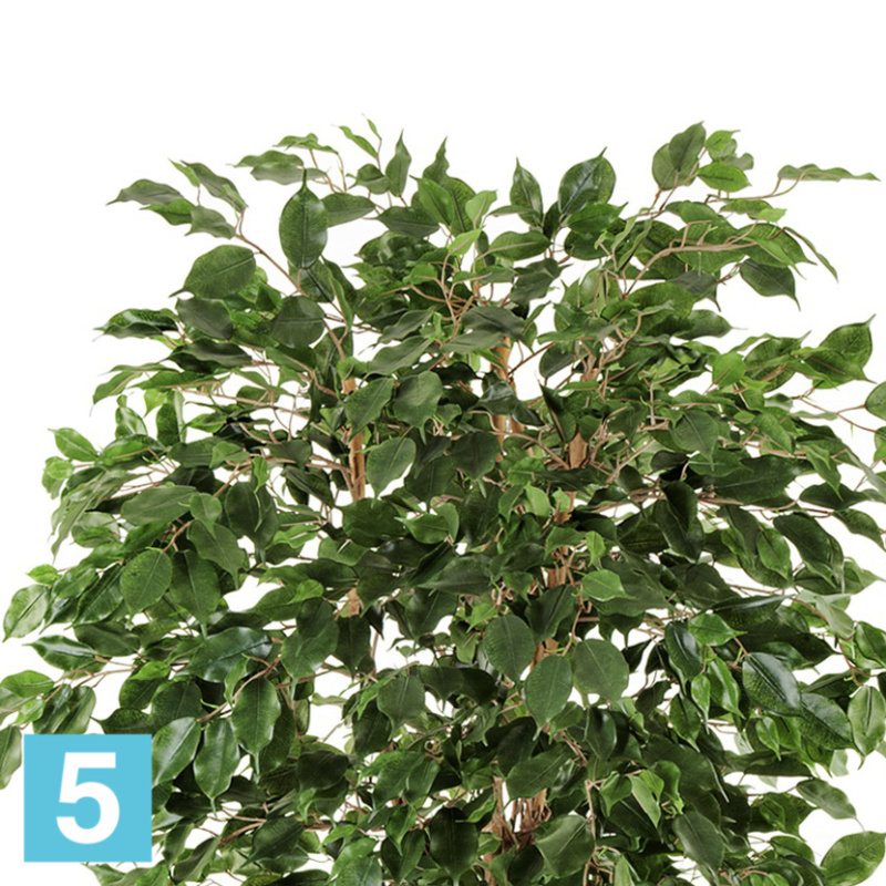 Фикус искусственный TREEZ Collection Бенджамина Лиана 180h