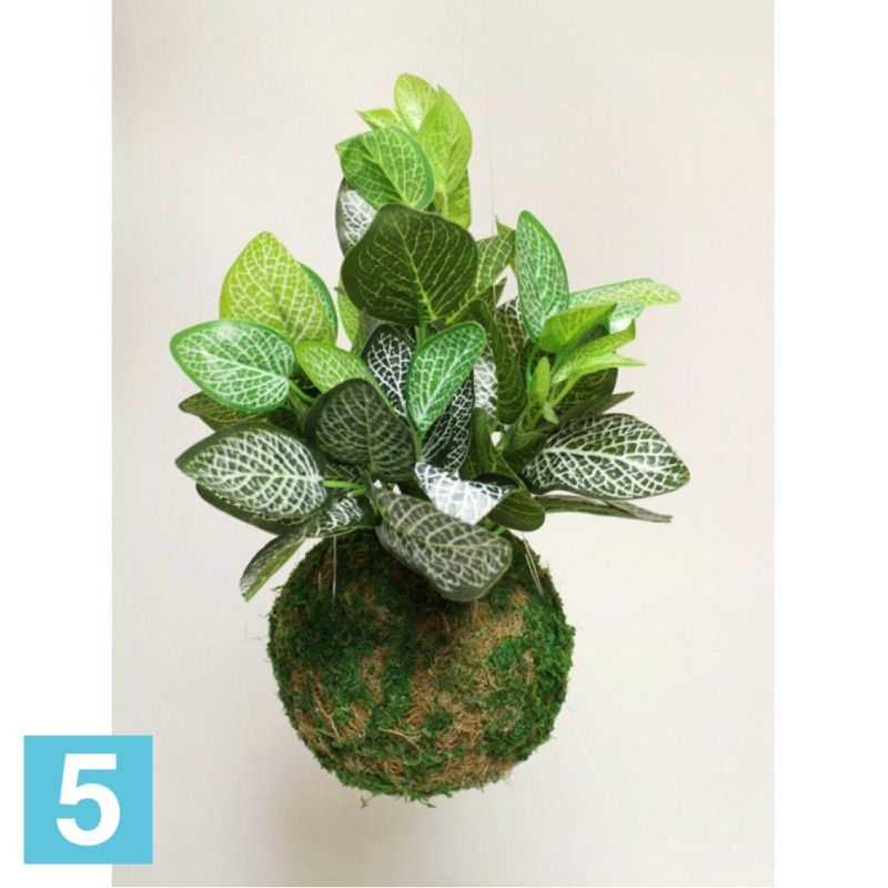 Кокедама искусственная Alseed, d-15 "Фитония", латекс