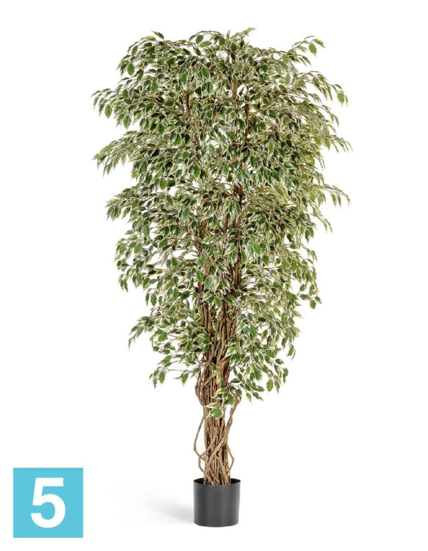 Фикус искусственный TREEZ Collection Гавайский Лиана пестролистный 120h