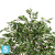 Фикус искусственный TREEZ Collection Фолиа зеленый 165h
