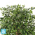 Фикус Френч искусственный TREEZ Collection Лиана Де Люкс 210h