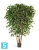 Фикус искусственный TREEZ Collection Бенджамина многоствольный 210h Фикус искусственный TREEZ Collection Бенджамина многоствольный 210h