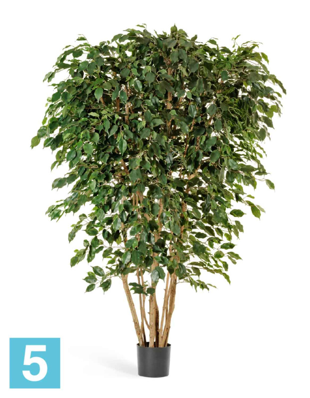 Фикус искусственный TREEZ Collection Бенджамина многоствольный 210h