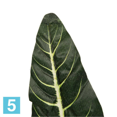 Лист антуриума искусственный Alseed, h-55 см., 12шт,уп