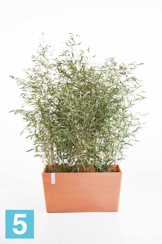 Прямоугольное кашпо Ecopots Paris, терракотовое 80-l, 38-w, 40-h