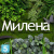 Фитокартина в белой крашенной раме искусственная Alseed, 1м*1м Фитокартина в белой крашенной раме искусственная Alseed, 1м*1м