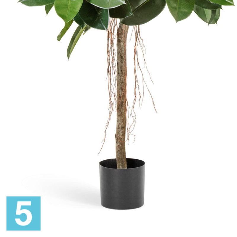 Фикус искусственный TREEZ Collection Эластика зелёный 150h
