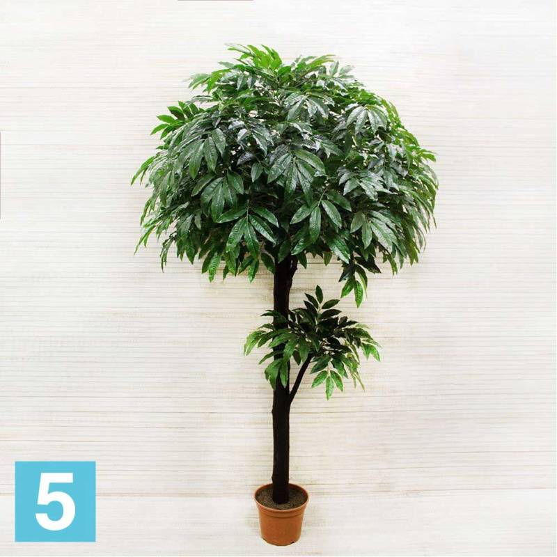 Манго без плодов искусственное Alseed, h-250 см., латекс