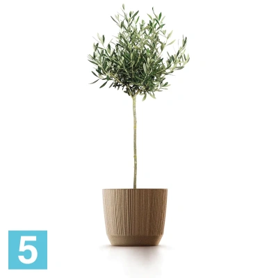 Кашпо Prosperplast RYFO ECO Wood, белое 12,6-d, 10,8-h