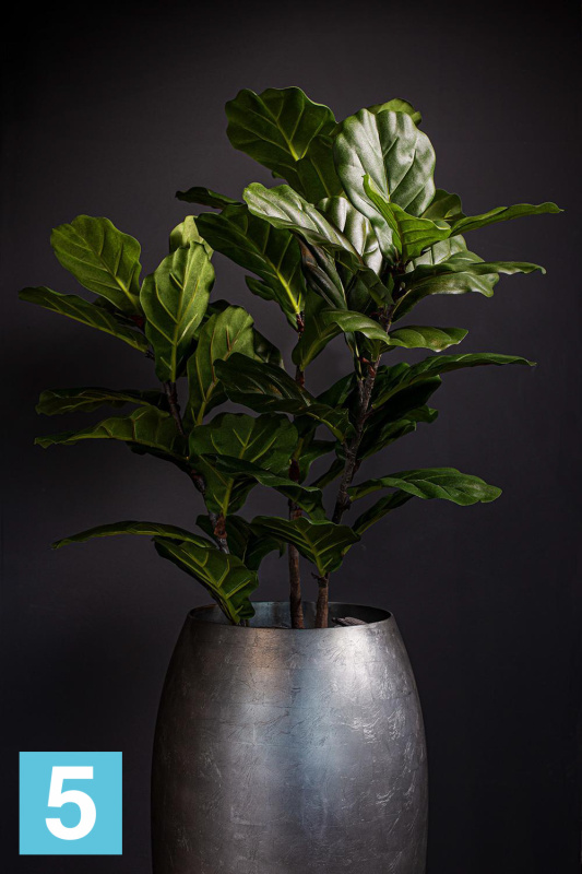 Высокое кашпо Fleur ami Royal Planter 37-d, 80-h, серое