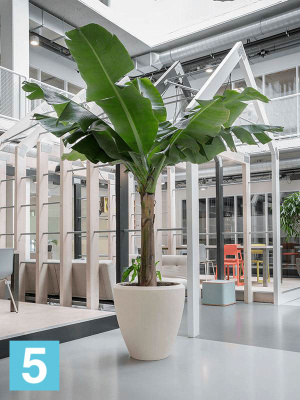 Кашпо Polystone plain couple natural d-65 h-65 см