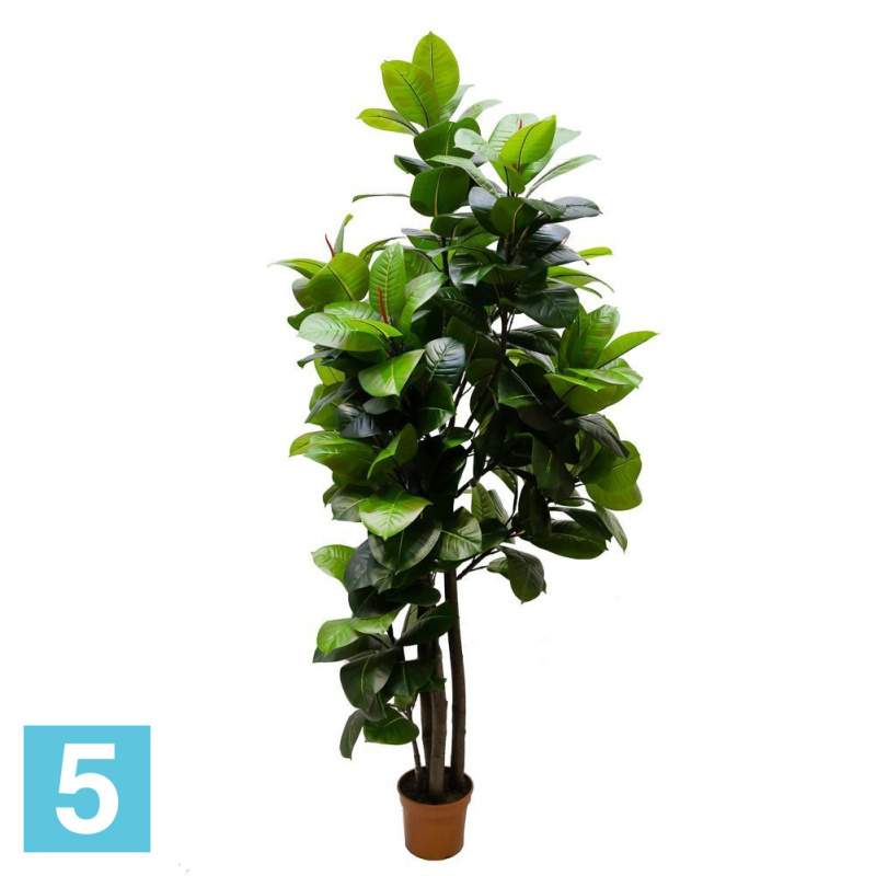Фикус Эластика искусственный Alseed, h-190 см., латекс