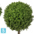 Самшит Шар искусственный TREEZ Collection уличный на коротком стволе 65h, (крона 50-d, 40-h) Самшит Шар искусственный TREEZ Collection уличный на коротком стволе 65h, (крона 50-d, 40-h)