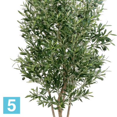 Олива искусственная TREEZ Collection Твист с плодами 180h в #REGION_NAME_DECLINE_PP#