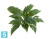 Хоста Соу искусственная Свит зелёная с белой каймой (Sensitive Botanic) TREEZ Collection