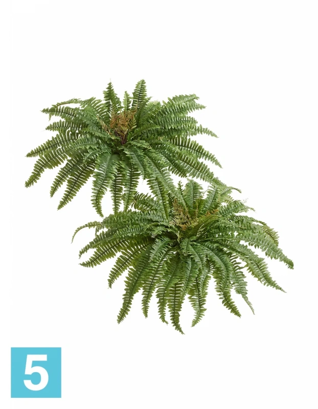 Искусственный Папоротник Бостон Новый натуральный зеленый TREEZ Collection 80-d, 30-h