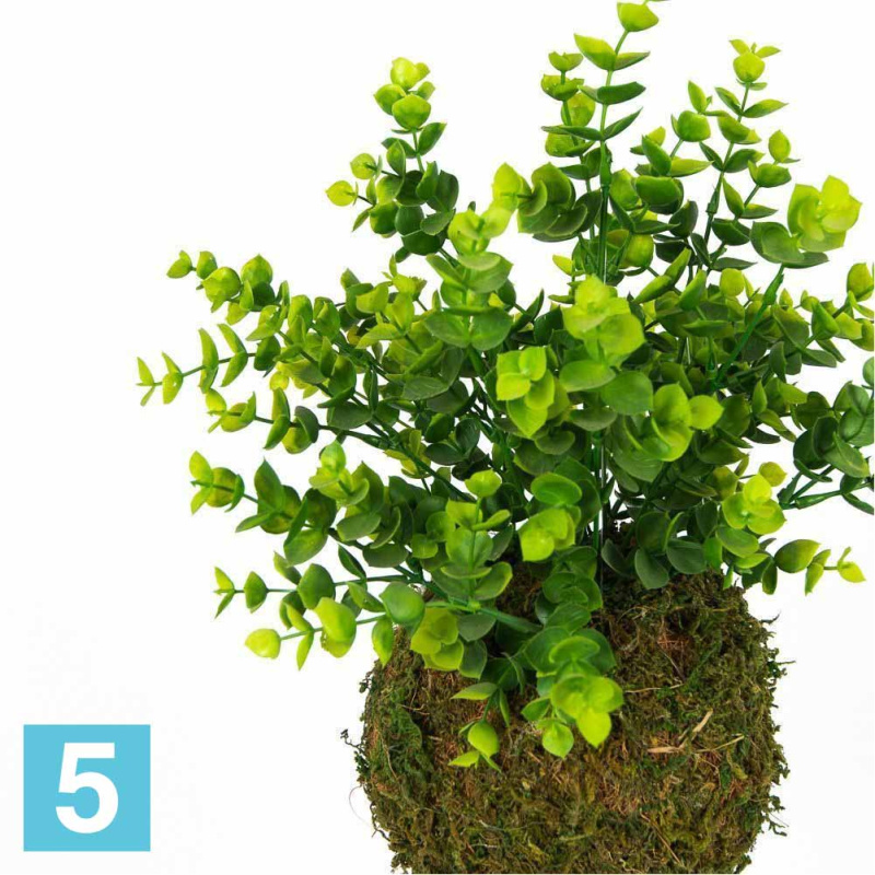 Кокедама искусственная Alseed, d-15 "Самшит"