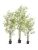 Бамбук японский Style (с UV-фильтром) искусственный TREEZ Collection 120h Бамбук японский Style (с UV-фильтром) искусственный TREEZ Collection 120h