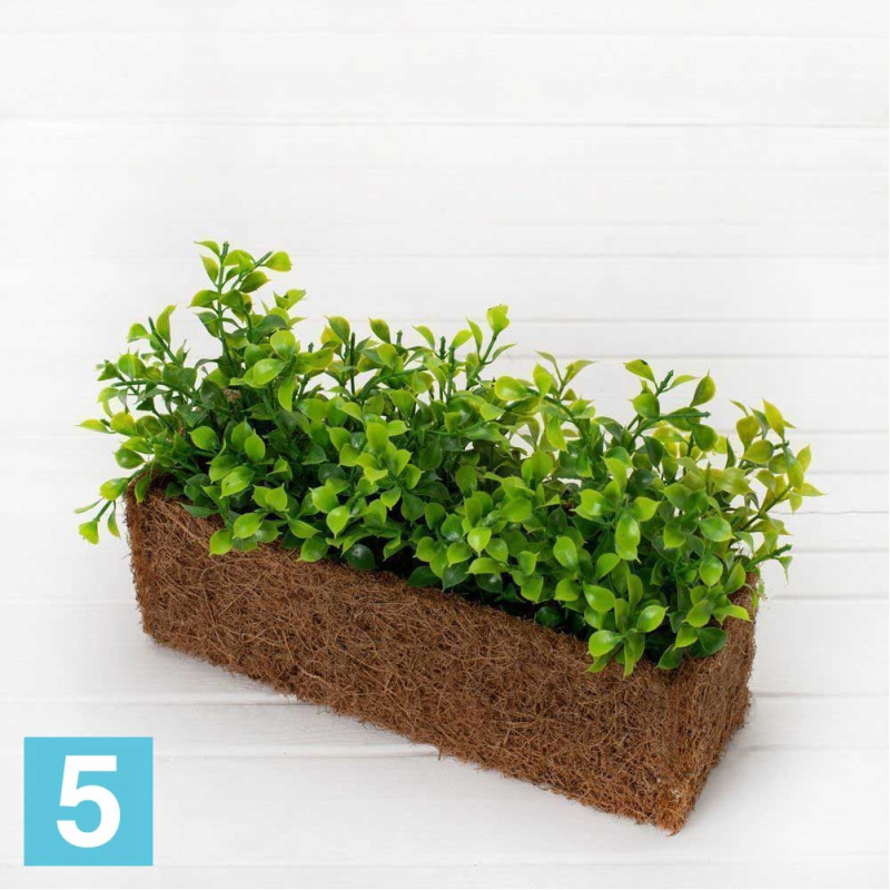 Самшит в кокосовом боксе искусственный Alseed, 25*8*8