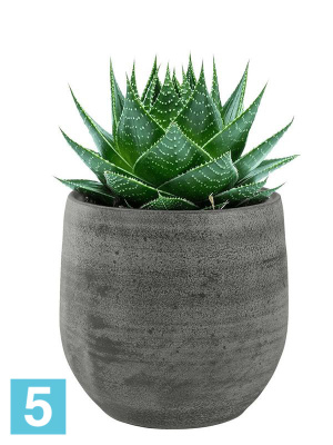 Кашпо Esra pot mystic, серое d-15 h-13 см