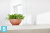 Настольное Кашпо Ecopots Brussels, терракотовое 30-d, 14-h