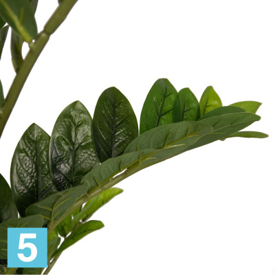 Замиокулькас куст искусственный Alseed, h-70 см. в #REGION_NAME_DECLINE_PP#