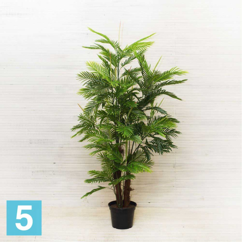 Пальма искусственная Alseed, h-200, латекс