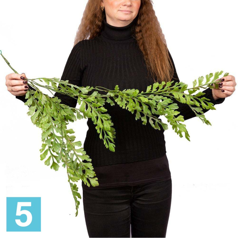 Лиана с Дидимохленой искусственная Alseed, l-100 см.