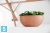 Напольное кашпо Ecopots Sofia Big, терракотовое 43-l, 25-w, 17,5-h