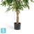 Лонгифолия Роял искусственная TREEZ Collection 180h