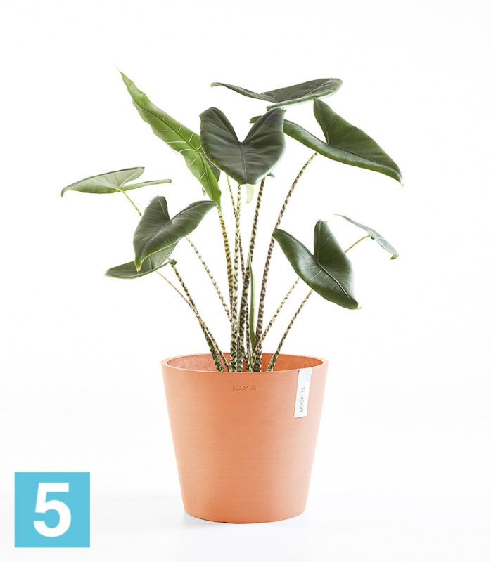 Большое кашпо на колёсиках Ecopots Amsterdam, терракотовое 80-d, 72-h