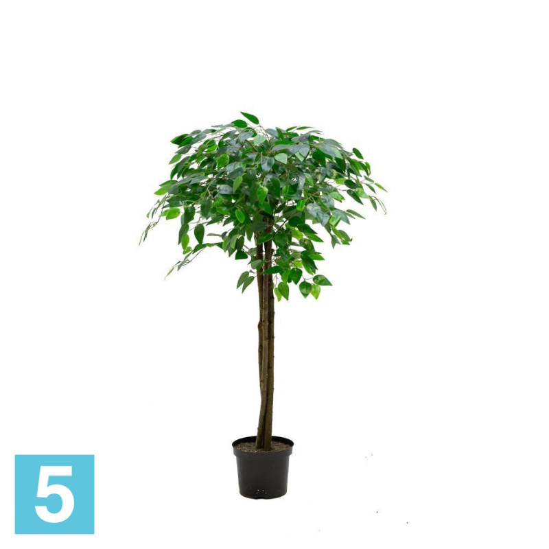 Фикус искусственный Alseed, h-120 см., латекс