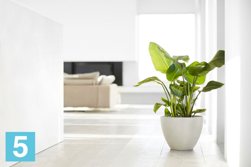 Напольное кашпо Ecopots Antwerp, светло-серое 50-d, 40-h