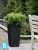 Кашпо с автополивом Lechuza Cubico Cottage, черное графит 30-l, 30-w, 56-h