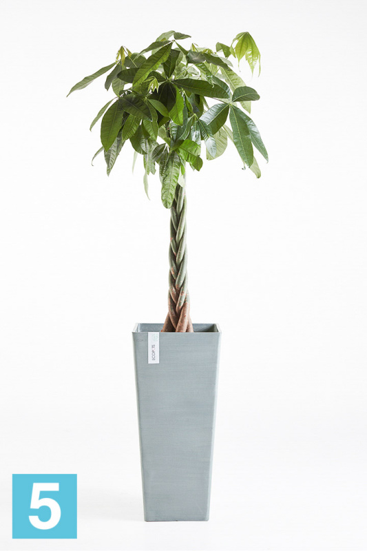 Высокое кашпо Ecopots Rotterdam-H, серо-голубое 32-l, 32-w, 70-h